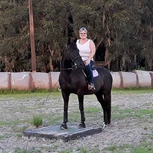 Meet your Posher, Andi